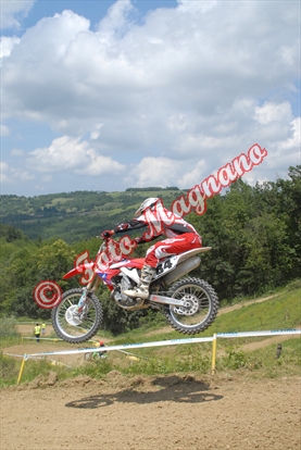 paroldo 313.jpg